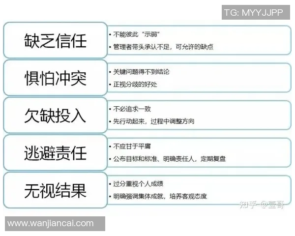 武汉足球队进攻体系解析：战术创新与团队协作的完美结合